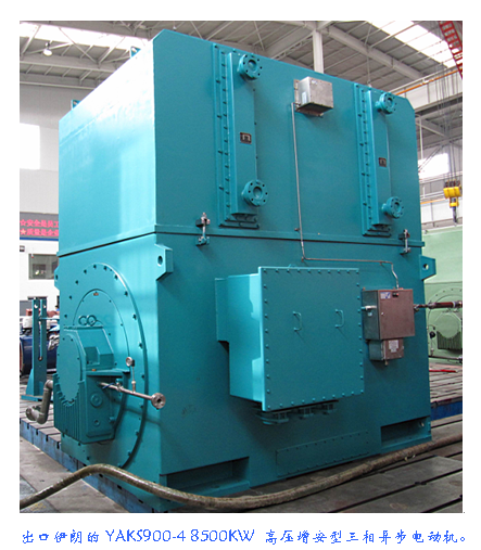 YAKS系列增安型高压三相异步电动机